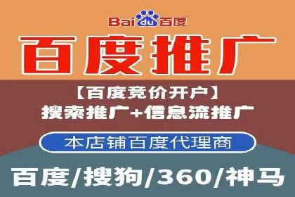 托管竞价sem案例分享：某电商平台的成功之路